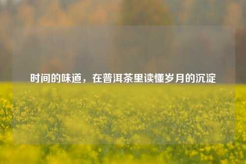 时间的味道，在普洱茶里读懂岁月的沉淀