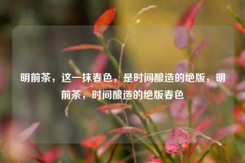 明前茶，这一抹春色，是时间酿造的绝版，明前茶，时间酿造的绝版春色