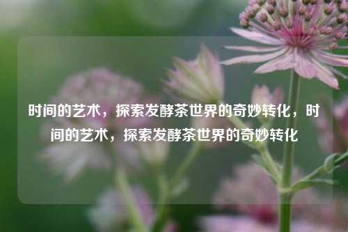 时间的艺术，探索发酵茶世界的奇妙转化，时间的艺术，探索发酵茶世界的奇妙转化
