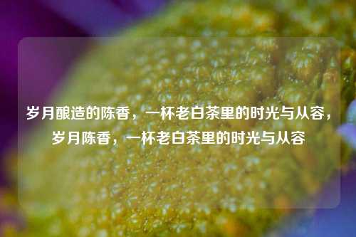 岁月酿造的陈香，一杯老白茶里的时光与从容，岁月陈香，一杯老白茶里的时光与从容