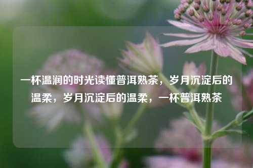 一杯温润的时光读懂普洱熟茶，岁月沉淀后的温柔，岁月沉淀后的温柔，一杯普洱熟茶
