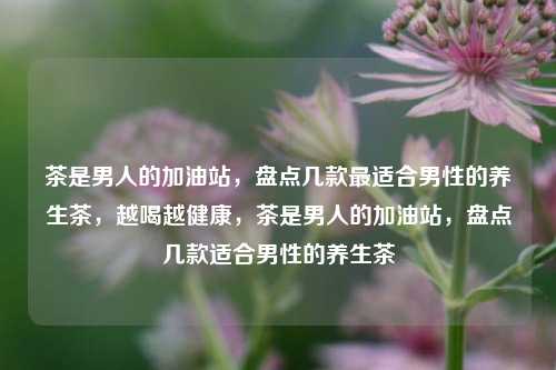 茶是男人的加油站，盘点几款最适合男性的养生茶，越喝越健康，茶是男人的加油站，盘点几款适合男性的养生茶