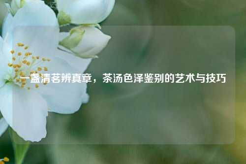 一盏清茗辨真章，茶汤色泽鉴别的艺术与技巧