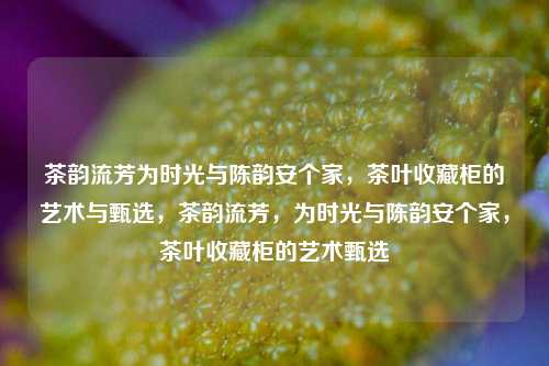 茶韵流芳为时光与陈韵安个家，茶叶收藏柜的艺术与甄选，茶韵流芳，为时光与陈韵安个家，茶叶收藏柜的艺术甄选