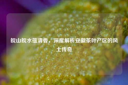 皖山皖水蕴清香，深度解析安徽茶叶产区的风土传奇