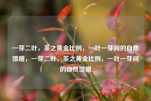 一芽二叶，茶之黄金比例，一叶一芽间的自然馈赠，一芽二叶，茶之黄金比例，一叶一芽间的自然馈赠