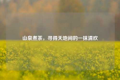 山泉煮茶，寻得天地间的一抹清欢