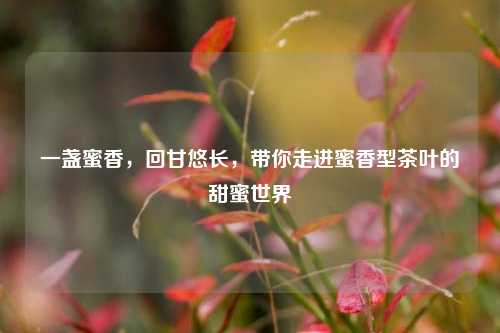 一盏蜜香，回甘悠长，带你走进蜜香型茶叶的甜蜜世界