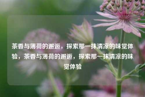 茶香与薄荷的邂逅，探索那一抹清凉的味觉体验，茶香与薄荷的邂逅，探索那一抹清凉的味觉体验
