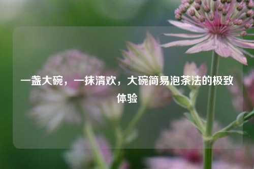 一盏大碗，一抹清欢，大碗简易泡茶法的极致体验