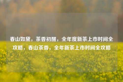 春山如黛，茶香初醒，全年度新茶上市时间全攻略，春山茶香，全年新茶上市时间全攻略
