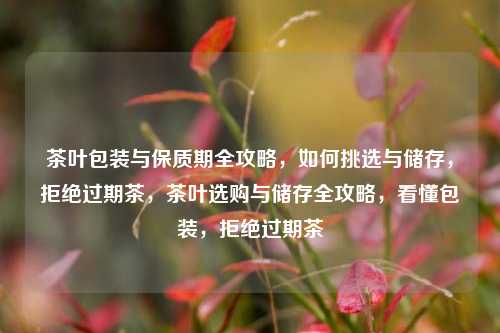 茶叶包装与保质期全攻略，如何挑选与储存，拒绝过期茶，茶叶选购与储存全攻略，看懂包装，拒绝过期茶