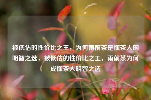 被低估的性价比之王，为何雨前茶是懂茶人的明智之选，被低估的性价比之王，雨前茶为何成懂茶人明智之选