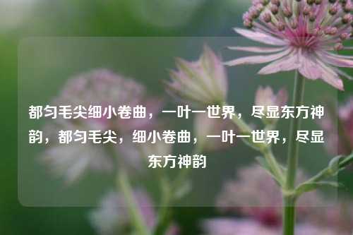 都匀毛尖细小卷曲，一叶一世界，尽显东方神韵，都匀毛尖，细小卷曲，一叶一世界，尽显东方神韵