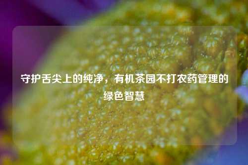 守护舌尖上的纯净，有机茶园不打农药管理的绿色智慧