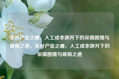 茶叶产业之痛，人工成本飙升下的采摘困境与破局之道，茶叶产业之痛，人工成本飙升下的采摘困境与破局之道