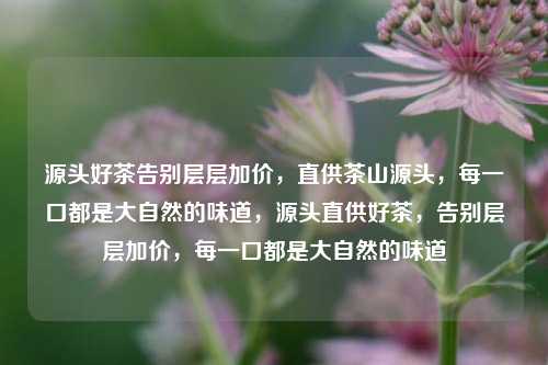 源头好茶告别层层加价，直供茶山源头，每一口都是大自然的味道，源头直供好茶，告别层层加价，每一口都是大自然的味道