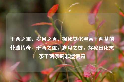 千两之重，岁月之香，探秘安化黑茶千两茶的非遗传奇，千两之重，岁月之香，探秘安化黑茶千两茶的非遗传奇