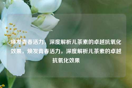 焕发青春活力，深度解析儿茶素的卓越抗氧化效果，焕发青春活力，深度解析儿茶素的卓越抗氧化效果