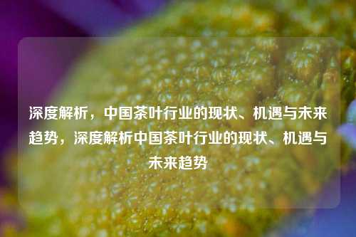 深度解析，中国茶叶行业的现状、机遇与未来趋势，深度解析中国茶叶行业的现状、机遇与未来趋势