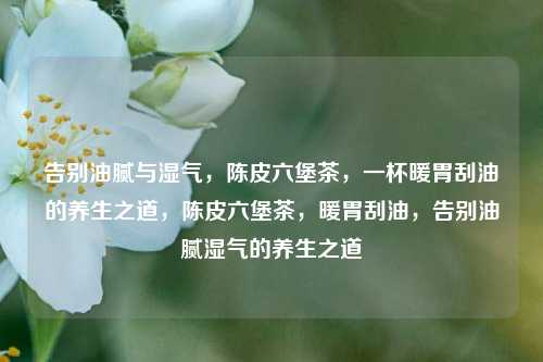 告别油腻与湿气，陈皮六堡茶，一杯暖胃刮油的养生之道，陈皮六堡茶，暖胃刮油，告别油腻湿气的养生之道