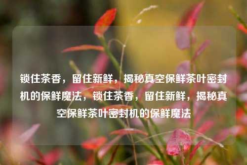 锁住茶香，留住新鲜，揭秘真空保鲜茶叶密封机的保鲜魔法，锁住茶香，留住新鲜，揭秘真空保鲜茶叶密封机的保鲜魔法