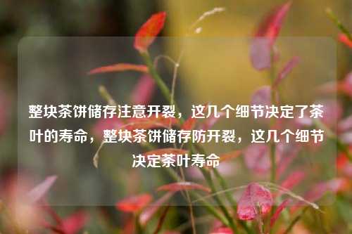 整块茶饼储存注意开裂，这几个细节决定了茶叶的寿命，整块茶饼储存防开裂，这几个细节决定茶叶寿命