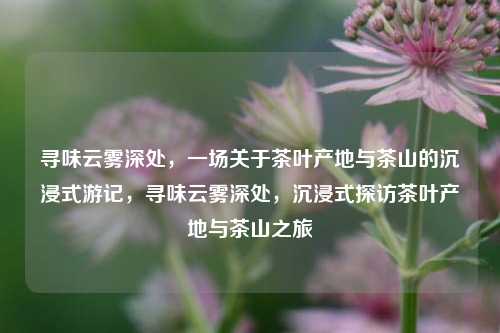 寻味云雾深处，一场关于茶叶产地与茶山的沉浸式游记，寻味云雾深处，沉浸式探访茶叶产地与茶山之旅