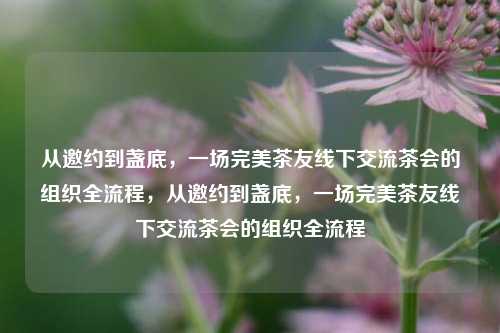 从邀约到盏底，一场完美茶友线下交流茶会的组织全流程，从邀约到盏底，一场完美茶友线下交流茶会的组织全流程