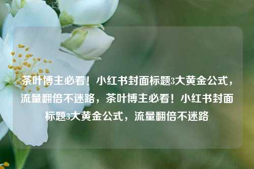 茶叶博主必看！小红书封面标题3大黄金公式，流量翻倍不迷路，茶叶博主必看！小红书封面标题3大黄金公式，流量翻倍不迷路