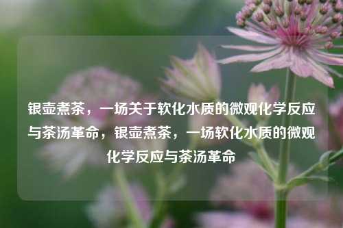 银壶煮茶，一场关于软化水质的微观化学反应与茶汤革命，银壶煮茶，一场软化水质的微观化学反应与茶汤革命