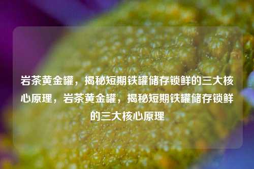 岩茶黄金罐，揭秘短期铁罐储存锁鲜的三大核心原理，岩茶黄金罐，揭秘短期铁罐储存锁鲜的三大核心原理