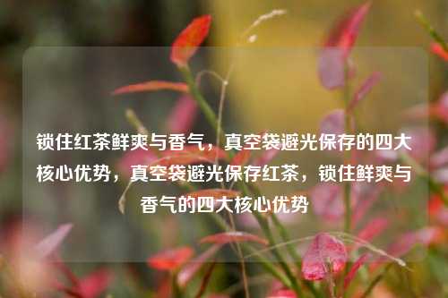 锁住红茶鲜爽与香气，真空袋避光保存的四大核心优势，真空袋避光保存红茶，锁住鲜爽与香气的四大核心优势