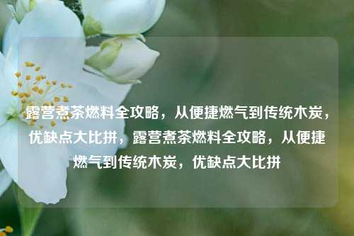露营煮茶燃料全攻略，从便捷燃气到传统木炭，优缺点大比拼，露营煮茶燃料全攻略，从便捷燃气到传统木炭，优缺点大比拼