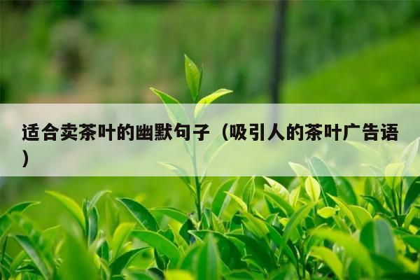 適合賣茶葉的幽默句子(吸引人的茶葉廣告語)-茶葉品類-茶葉平臺