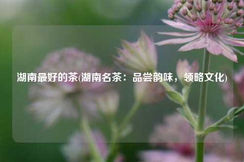 湖南最好的茶(湖南名茶：品尝韵味，领略文化)