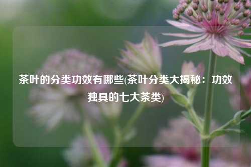 茶叶的分类功效有哪些(茶叶分类大揭秘：功效独具的七大茶类)