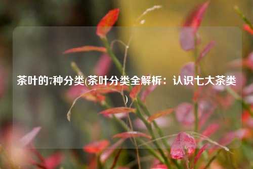 茶叶的7种分类(茶叶分类全解析：认识七大茶类)