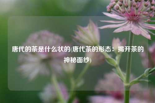 唐代的茶是什么状的(唐代茶的形态：揭开茶的神秘面纱)