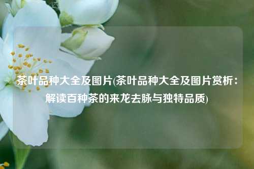茶叶品种大全及图片(茶叶品种大全及图片赏析：解读百种茶的来龙去脉与独特品质)