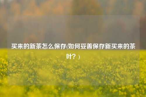 买来的新茶怎么保存(如何妥善保存新买来的茶叶？)