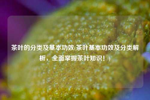茶叶的分类及基本功效(茶叶基本功效及分类解析，全面掌握茶叶知识！)