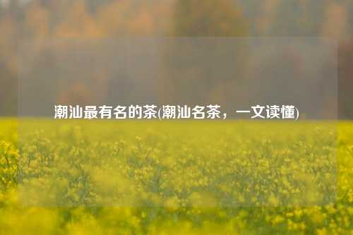 潮汕最有名的茶(潮汕名茶，一文读懂)