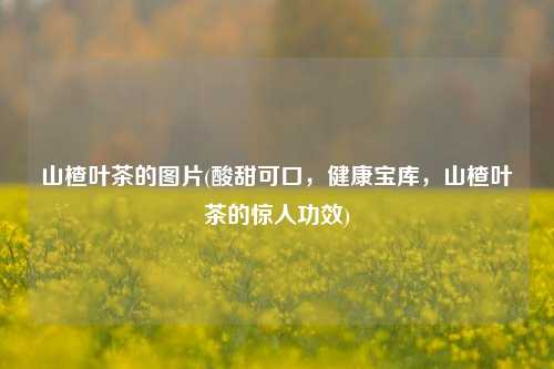 山楂叶茶的图片(酸甜可口，健康宝库，山楂叶茶的惊人功效)