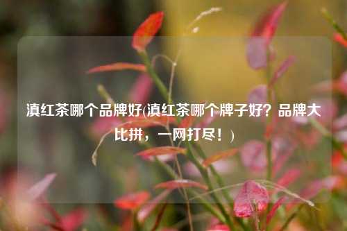 滇红茶哪个品牌好(滇红茶哪个牌子好？品牌大比拼，一网打尽！)