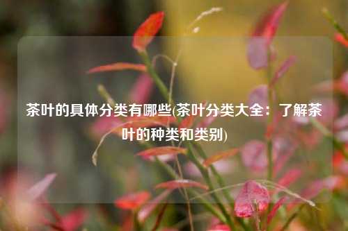 茶叶的具体分类有哪些(茶叶分类大全：了解茶叶的种类和类别)