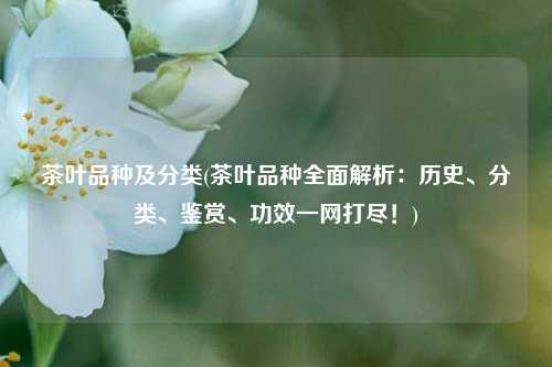 茶叶品种及分类(茶叶品种全面解析：历史、分类、鉴赏、功效一网打尽！)