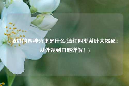滇红的四种分类是什么(滇红四类茶叶大揭秘：从外观到口感详解！)