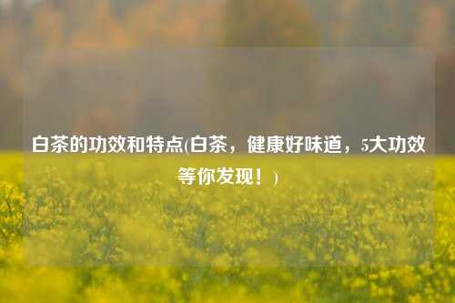 白茶的功效和特点(白茶，健康好味道，5大功效等你发现！)