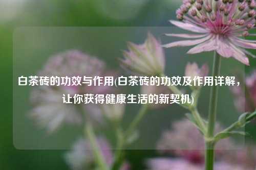 白茶砖的功效与作用(白茶砖的功效及作用详解，让你获得健康生活的新契机)